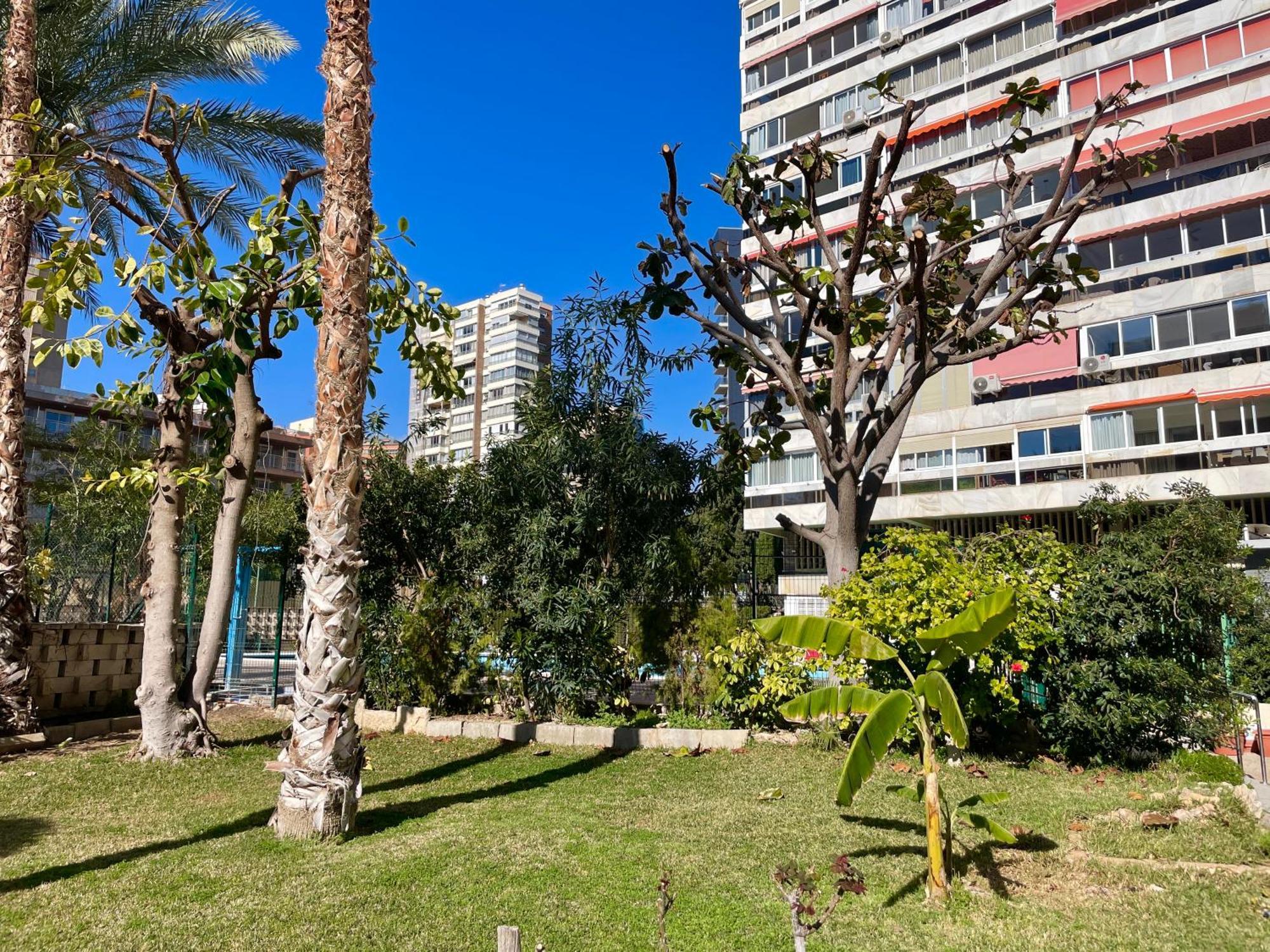 Relax Y Confort, Reformado Con Piscina Apartament